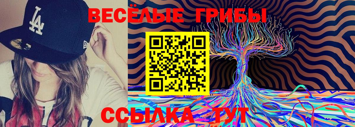 Псилоцибиновые грибы прущие грибы Иваново